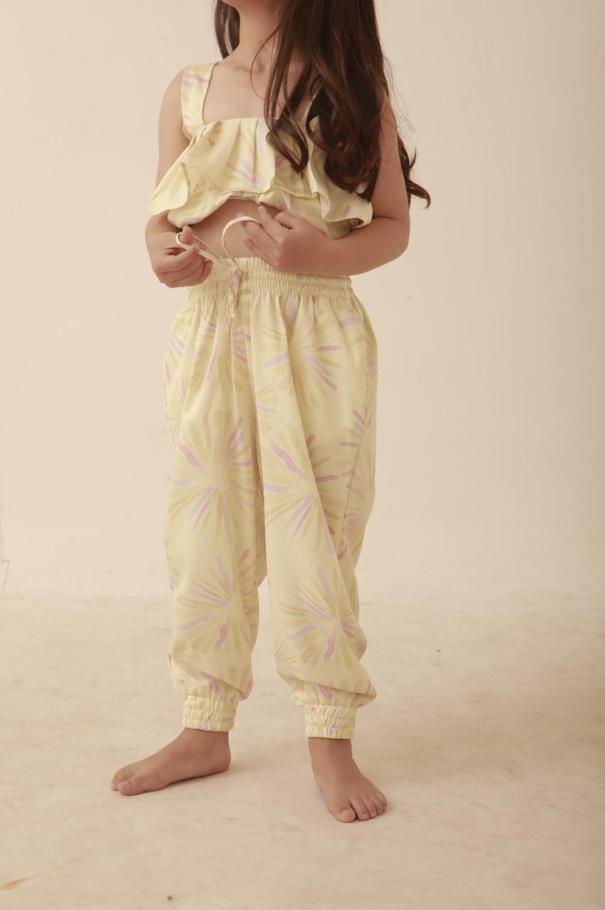 PAMELA SET